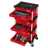 Set di Attrezzi da 366 Pezzi con Sistema PACKOUT™